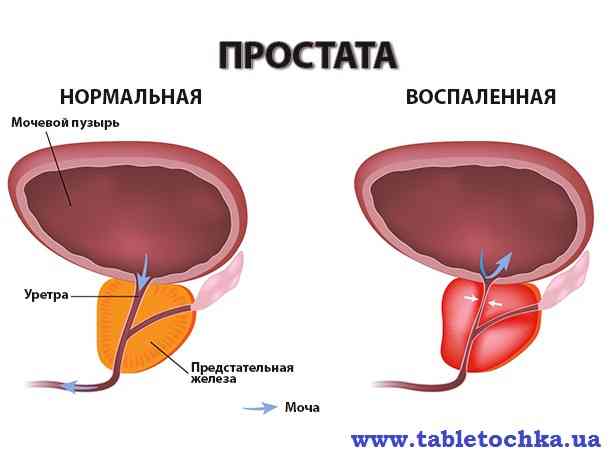 яйця