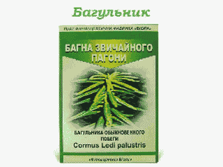 Багульник