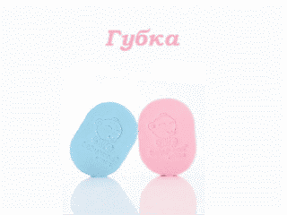 Губка