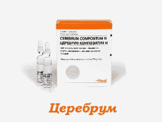 Церебрум